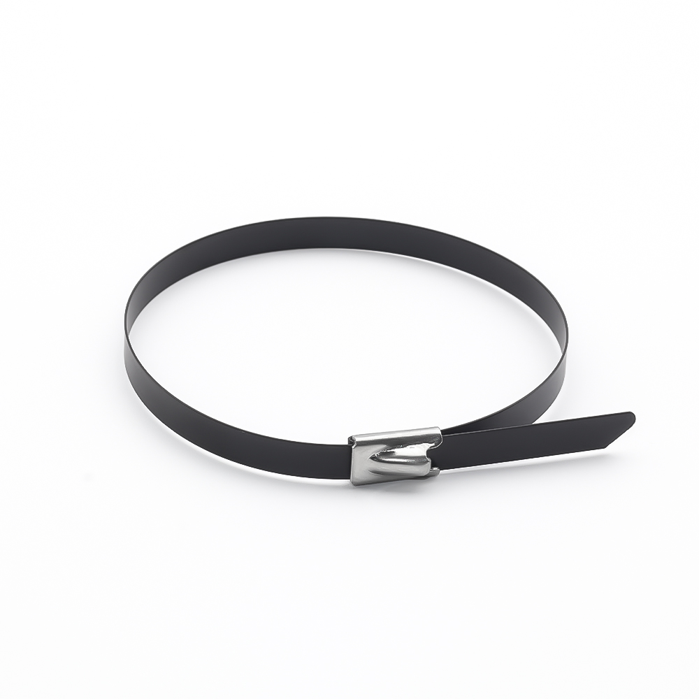 不锈钢喷塑扎带